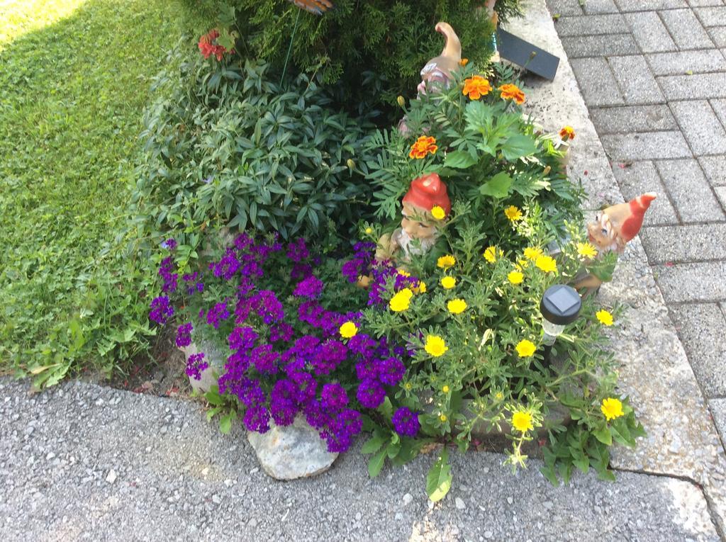 Hotel Haus Eder Burgi Nikolsdorf Zewnętrze zdjęcie