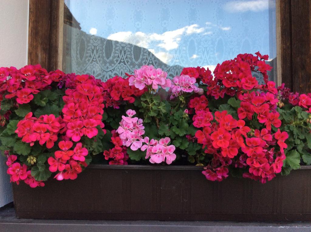 Hotel Haus Eder Burgi Nikolsdorf Zewnętrze zdjęcie